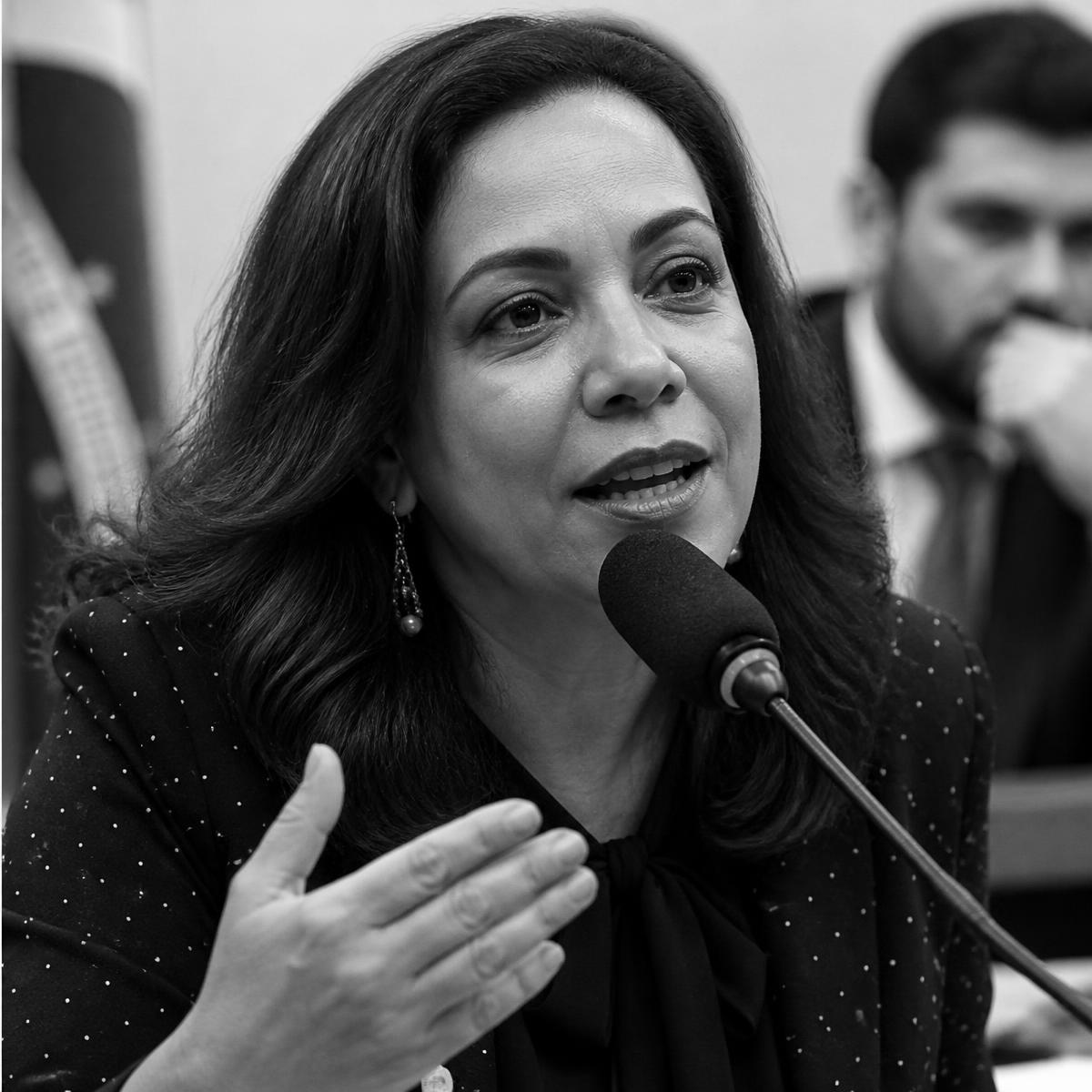 Audiência sobre Conselhos Tutelares